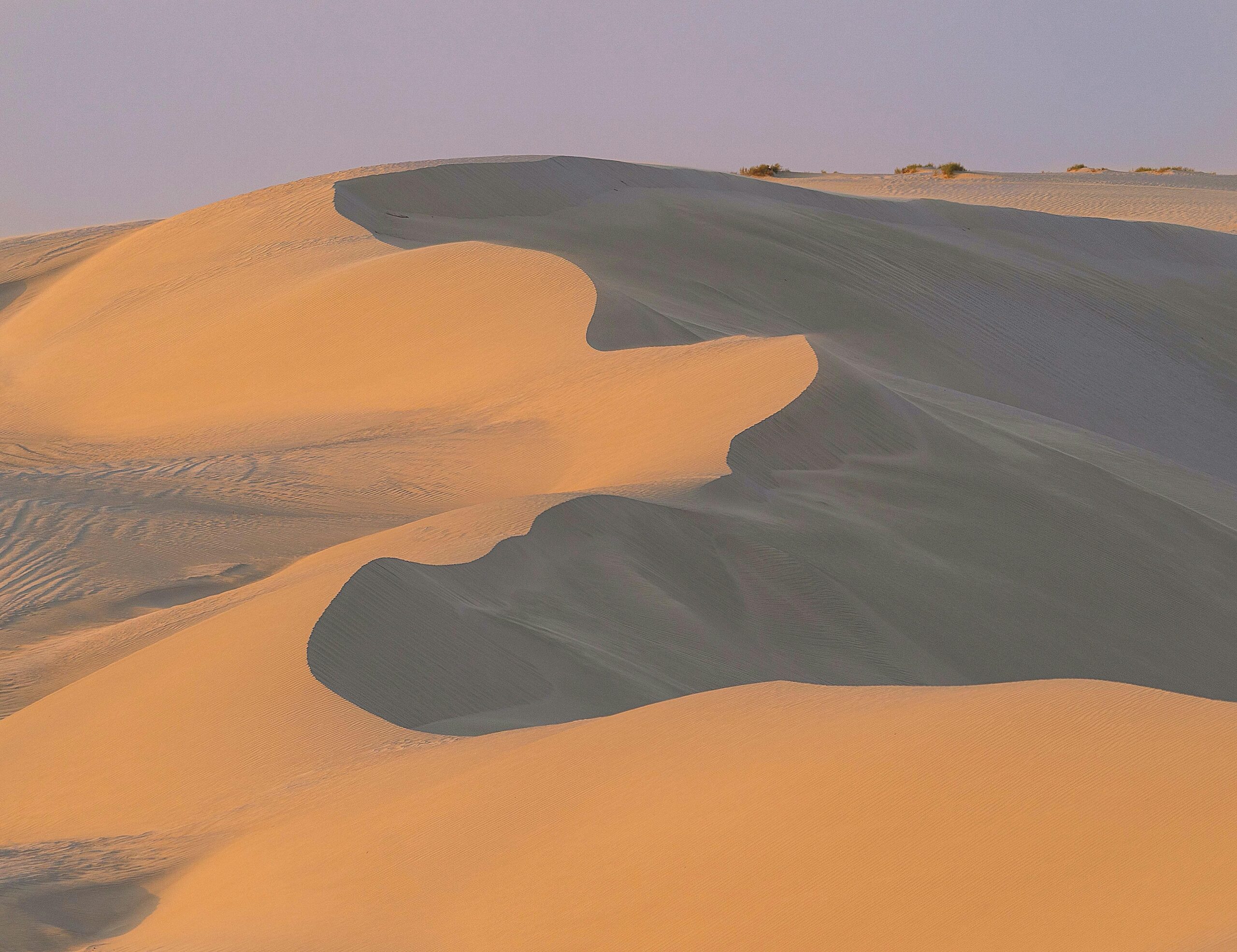 Golden sand dunes illuminated by soft daylight highlight the serene desert landscape.