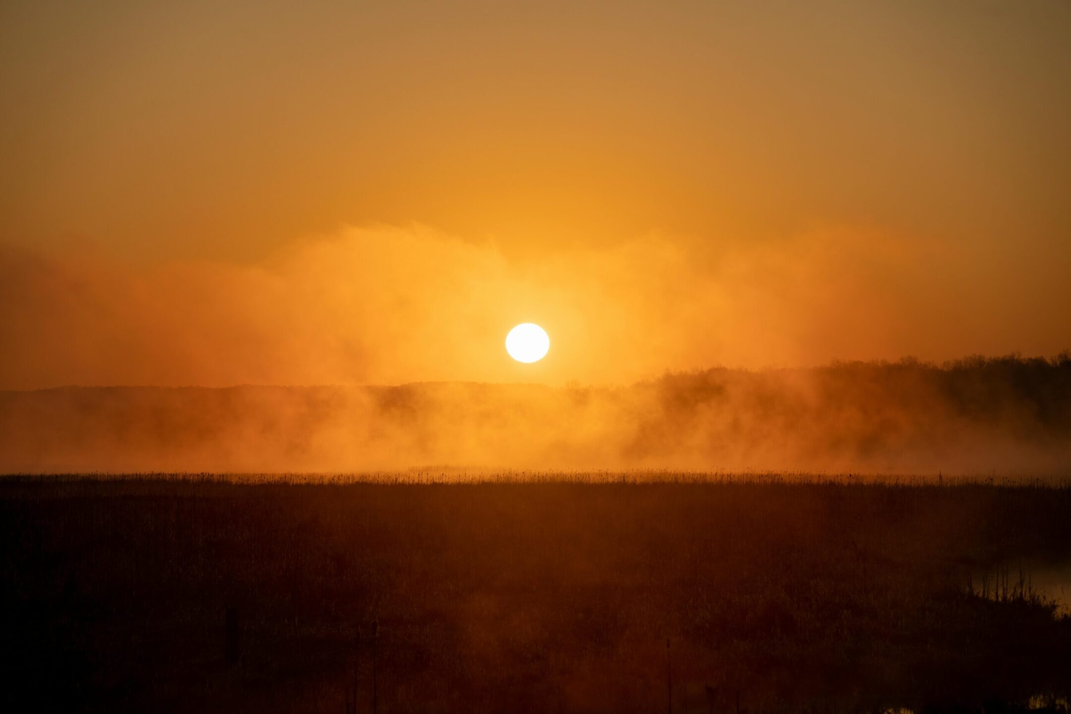 Stunning sunrise with misty atmosphere over a landscape in Weaver, Minnesota creating a warm, tranquil scene.